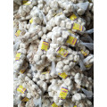 Braid pure white garlic 500g*20/carton China Jinxiang fresh garlic